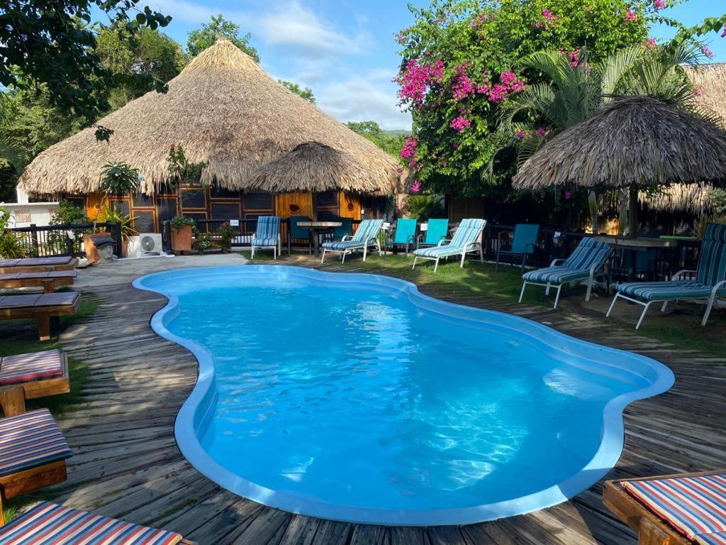 Bikini Hotel & Pool Palomino Zewnętrze zdjęcie